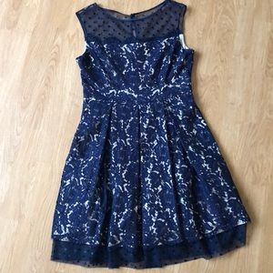 Eliza J: Navy dress with beige underline